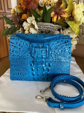 Brahmin small Hailie